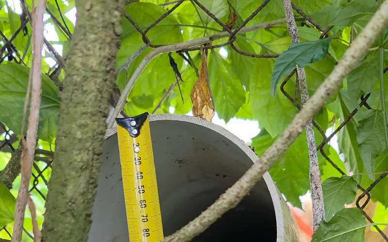 Direct field measurement taken through dense vegetation