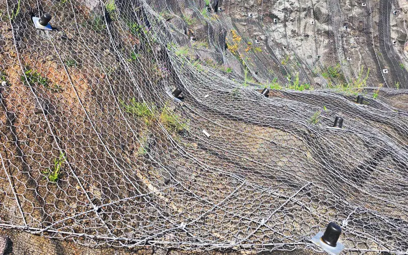 Flexible mesh facing fixed across a soil-nailed slope