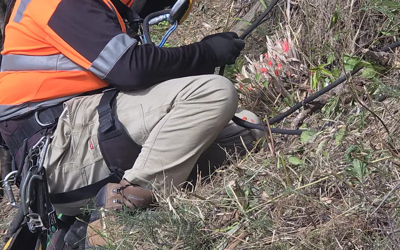 Geo Mana technician inspecting drainage and surface condition on a stabilised residential slope